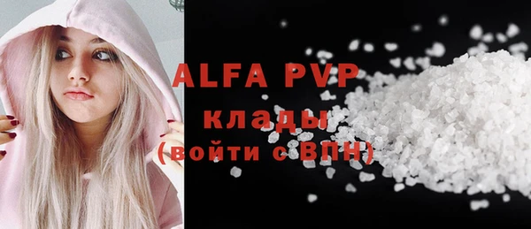 винт Абаза