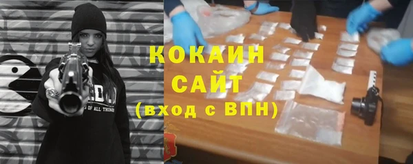 винт Абаза