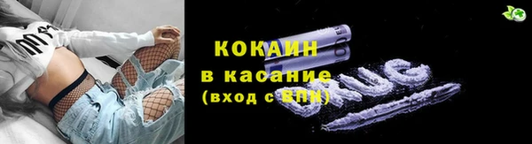 винт Абаза