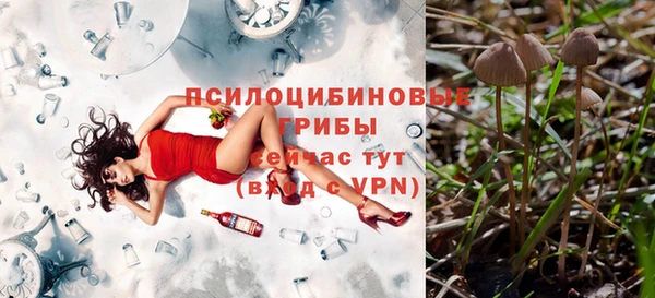 индика Абдулино