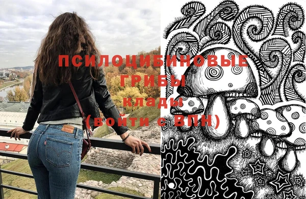 индика Абдулино