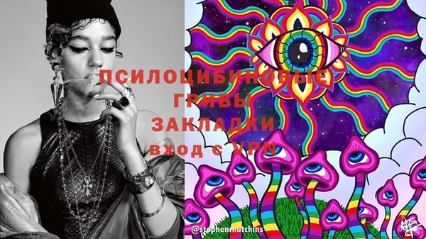 индика Абдулино