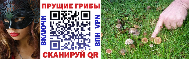 Галлюциногенные грибы GOLDEN TEACHER  даркнет сайт  Норильск 